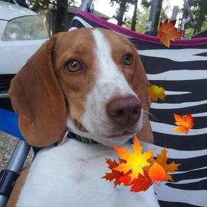 Meet your Posher, Lydia